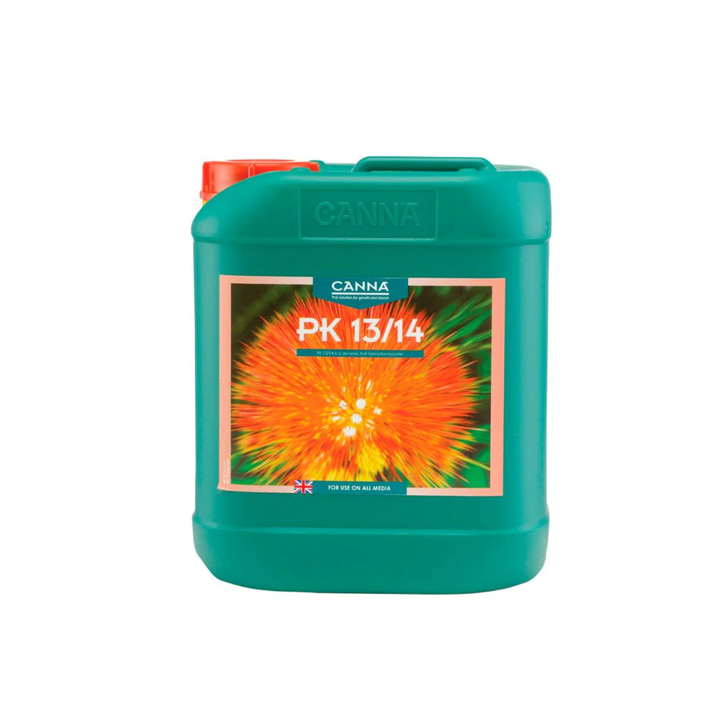 Canna PK 13/14 - Image 4